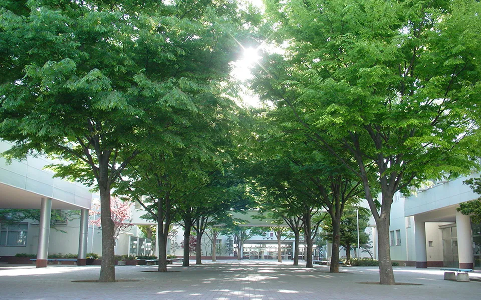 専大松戸の特色
