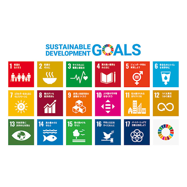 sdg2