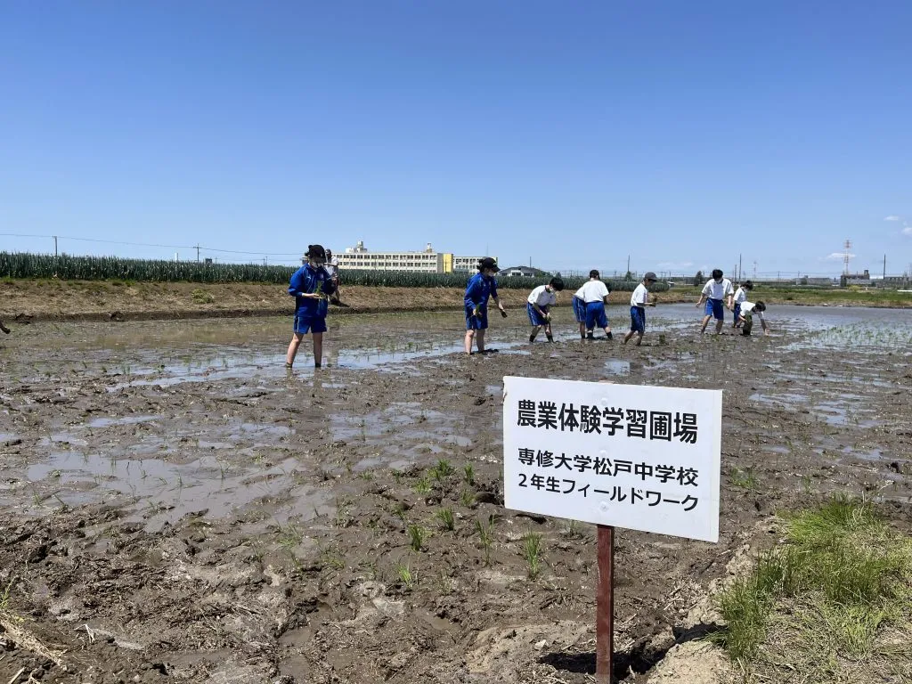 フィールドワーク【田植え】4