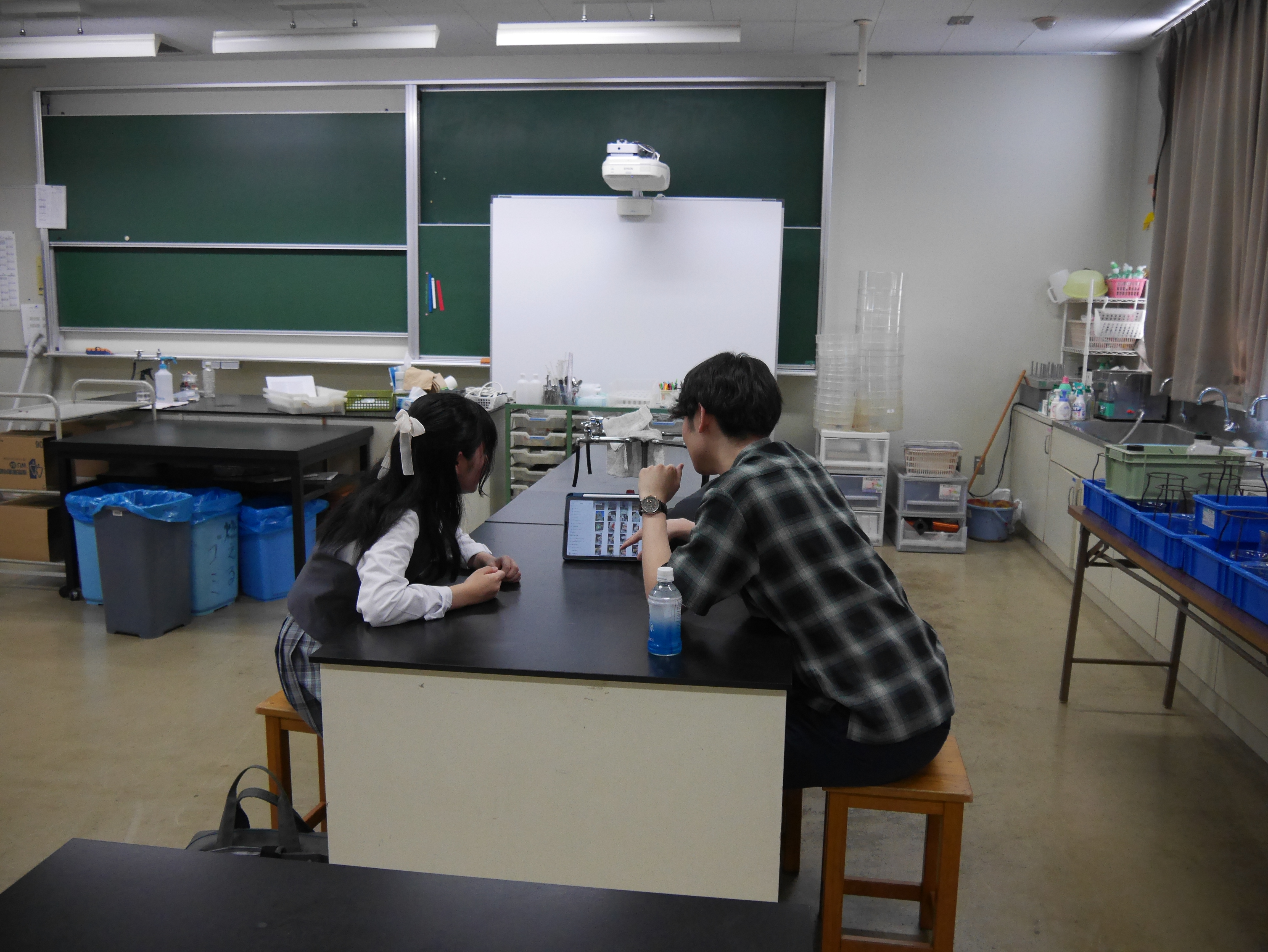 写真5